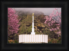 Load image into Gallery viewer, Provo Oncoming Storm
