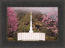 Load image into Gallery viewer, Provo Oncoming Storm
