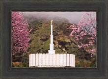 Load image into Gallery viewer, Provo Oncoming Storm
