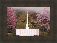 Load image into Gallery viewer, Provo Oncoming Storm
