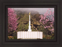 Load image into Gallery viewer, Provo Oncoming Storm
