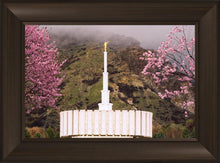 Load image into Gallery viewer, Provo Oncoming Storm

