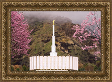 Load image into Gallery viewer, Provo Oncoming Storm
