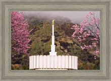 Load image into Gallery viewer, Provo Oncoming Storm
