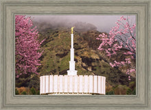 Load image into Gallery viewer, Provo Oncoming Storm
