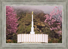 Load image into Gallery viewer, Provo Oncoming Storm
