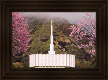 Load image into Gallery viewer, Provo Oncoming Storm
