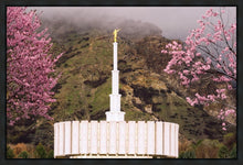 Load image into Gallery viewer, Provo Oncoming Storm
