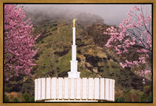 Load image into Gallery viewer, Provo Oncoming Storm
