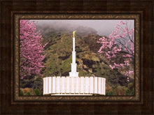Load image into Gallery viewer, Provo Oncoming Storm

