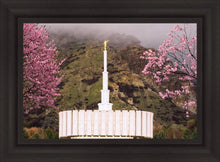 Load image into Gallery viewer, Provo Oncoming Storm

