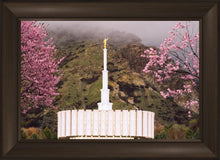 Load image into Gallery viewer, Provo Oncoming Storm
