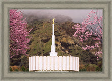 Load image into Gallery viewer, Provo Oncoming Storm
