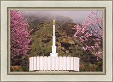 Load image into Gallery viewer, Provo Oncoming Storm
