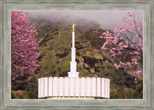Load image into Gallery viewer, Provo Oncoming Storm
