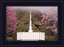 Load image into Gallery viewer, Provo Oncoming Storm
