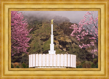 Load image into Gallery viewer, Provo Oncoming Storm
