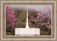 Load image into Gallery viewer, Provo Oncoming Storm
