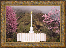 Load image into Gallery viewer, Provo Oncoming Storm
