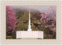 Load image into Gallery viewer, Provo Oncoming Storm
