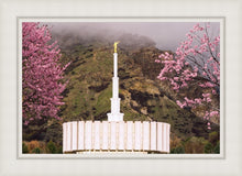 Load image into Gallery viewer, Provo Oncoming Storm
