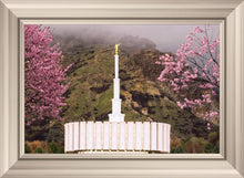 Load image into Gallery viewer, Provo Oncoming Storm
