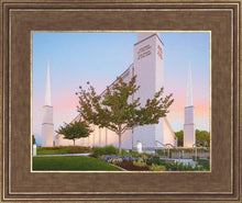 Load image into Gallery viewer, Boise Rustic Sunrise
