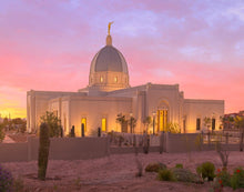 Load image into Gallery viewer, Tucson Desert Sunset
