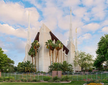 Load image into Gallery viewer, Las Vegas Daytime
