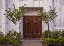 Load image into Gallery viewer, Portland Doors
