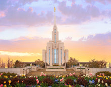 Load image into Gallery viewer, Oquirrh Mountain Peaceful Spring
