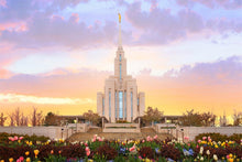 Load image into Gallery viewer, Oquirrh Mountain Peaceful Spring
