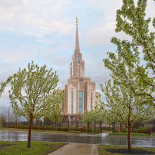 Load image into Gallery viewer, Oquirrh Mountain Rainfall

