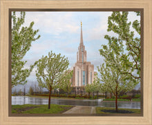 Load image into Gallery viewer, Oquirrh Mountain Rainfall

