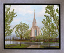 Load image into Gallery viewer, Oquirrh Mountain Rainfall
