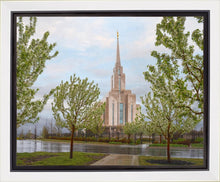 Load image into Gallery viewer, Oquirrh Mountain Rainfall
