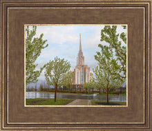 Load image into Gallery viewer, Oquirrh Mountain Rainfall
