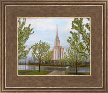 Load image into Gallery viewer, Oquirrh Mountain Rainfall
