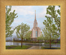 Load image into Gallery viewer, Oquirrh Mountain Rainfall
