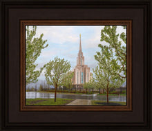 Load image into Gallery viewer, Oquirrh Mountain Rainfall

