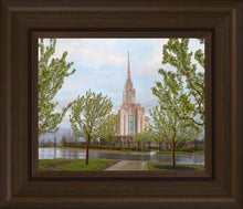 Load image into Gallery viewer, Oquirrh Mountain Rainfall
