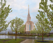 Load image into Gallery viewer, Oquirrh Mountain Rainfall
