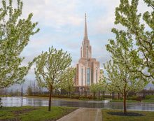 Load image into Gallery viewer, Oquirrh Mountain Rainfall
