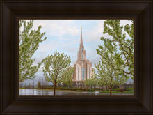 Load image into Gallery viewer, Oquirrh Mountain Rainfall

