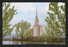 Load image into Gallery viewer, Oquirrh Mountain Rainfall

