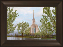 Load image into Gallery viewer, Oquirrh Mountain Rainfall
