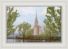 Load image into Gallery viewer, Oquirrh Mountain Rainfall
