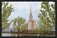 Load image into Gallery viewer, Oquirrh Mountain Rainfall
