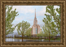 Load image into Gallery viewer, Oquirrh Mountain Rainfall
