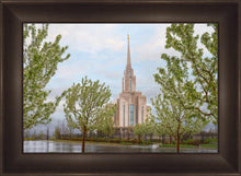 Load image into Gallery viewer, Oquirrh Mountain Rainfall
